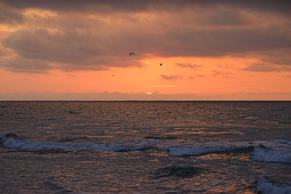 Jim O'Neil (@jimmydreamsmb) on Twitter photo This morning at 641 am I was blessed to witness the sunrise accent over the Atlantic Ocean. May everyone be blessed always. ๐๐ฏ๐#GratefulBlessed
<a href="/DailyBuffettX/">The Daily Buffett</a> <a href="/surfgirldeb/">Deb Walker</a> <a href="/LCWxDave/">Dave Williams</a> <a href="/harry_fosters/">Harry Foster</a> <a href="/BamaSaltyMarine/">Old Salty Marine</a> <a href="/VisualsbySauter/">Sauter ๐ธ๐ด๓ ง๓ ข๓ ฅ๓ ฎ๓ ง๓ ฟ</a> <a href="/debanjana05/">debanjana</a> <a href="/Sam_Alexandra23/">Stephanie Alexandra</a> <a href="/jgreenhillwx/">Jenna Greenhill</a> This morning at 641 am I was blessed to witness the sunrise accent over the Atlantic Ocean. May everyone be blessed always. ๐๐ฏ๐#GratefulBlessed
<a href="/DailyBuffettX/">The Daily Buffett</a> <a href="/surfgirldeb/">Deb Walker</a> <a href="/LCWxDave/">Dave Williams</a> <a href="/harry_fosters/">Harry Foster</a> <a href="/BamaSaltyMarine/">Old Salty Marine</a> <a href="/VisualsbySauter/">Sauter ๐ธ๐ด๓ ง๓ ข๓ ฅ๓ ฎ๓ ง๓ ฟ</a> <a href="/debanjana05/">debanjana</a> <a href="/Sam_Alexandra23/">Stephanie Alexandra</a> <a href="/jgreenhillwx/">Jenna Greenhill</a>