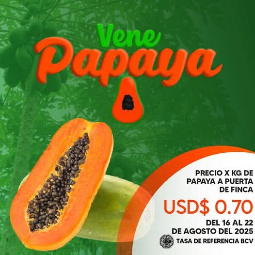 Precio sugerido por kilogramo de Papaya a puerta de finca para el período del 16 al 22 de agosto de 2025. 

Fuente: VENEPAPAYA <a href="/venepapaya/">Vene Papaya</a>

#Venezuela #Agricultura #Papaya #Precio #Venepapaya #AgroEconomía #CampoCafeCiudad