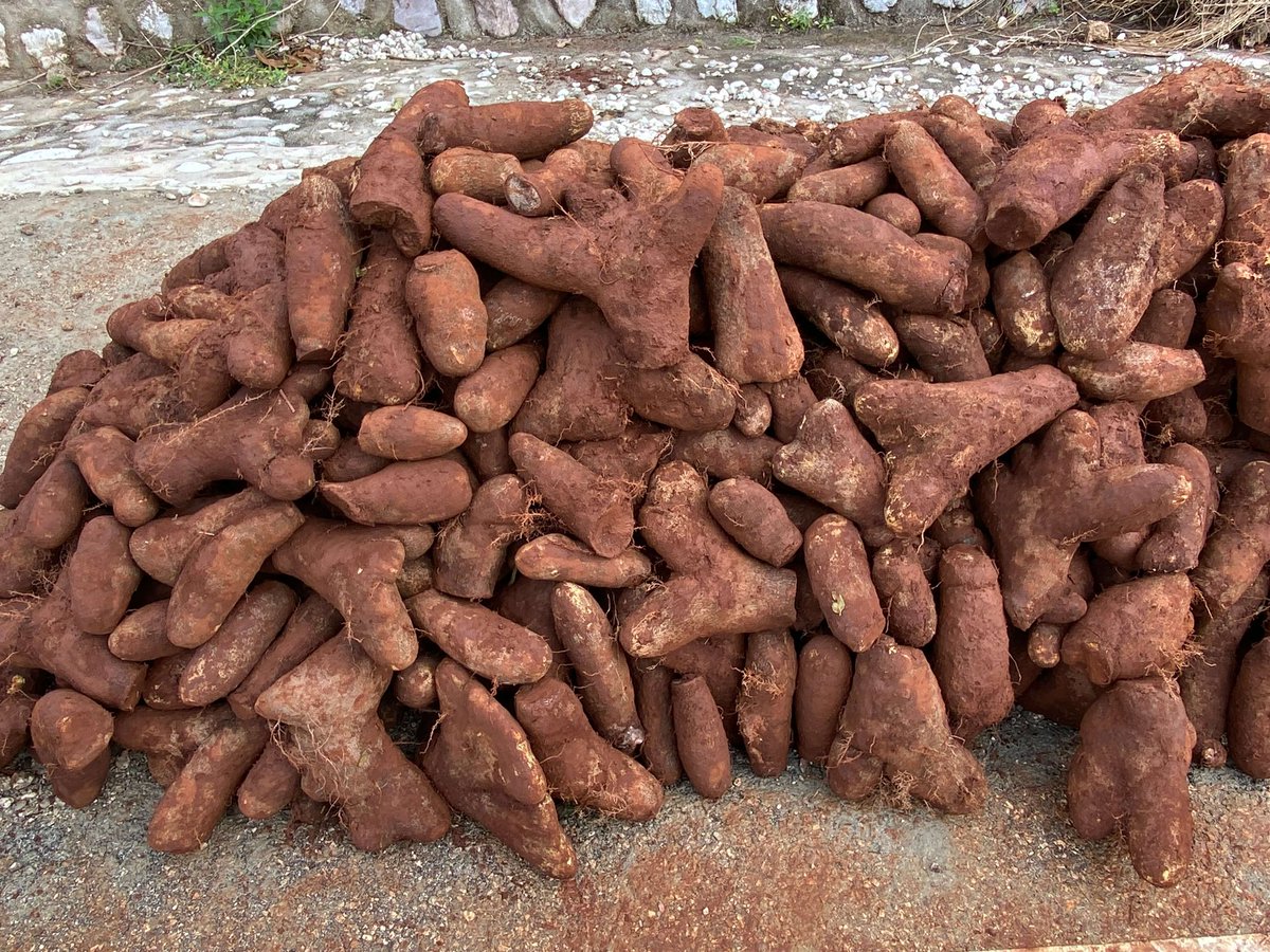 William Cinea tweet media