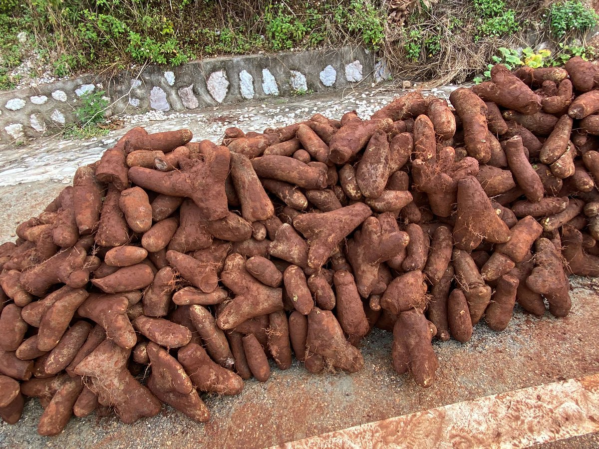 William Cinea tweet media