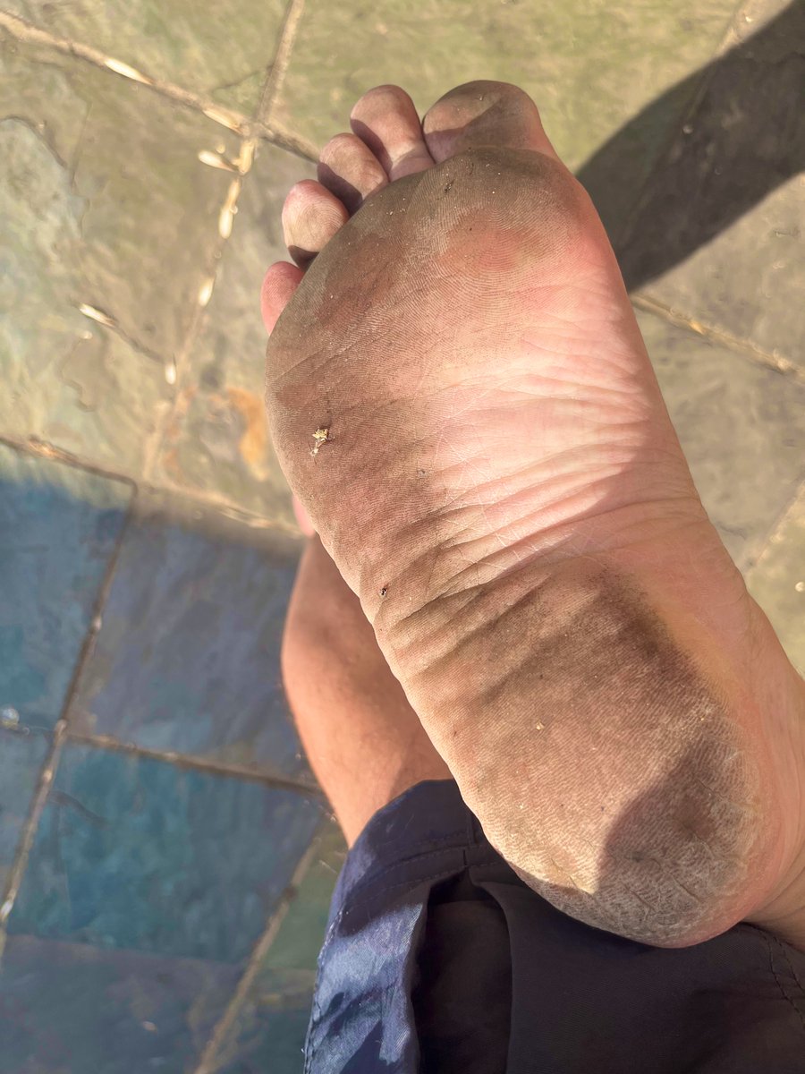 ZABarefootGuy tweet media