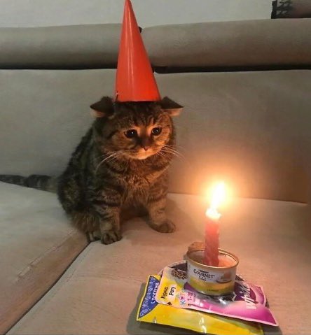 my birthday I turned 15 today!!🥳🥳
いつも応援やサポートして下さってる皆様ありがとうございます！！