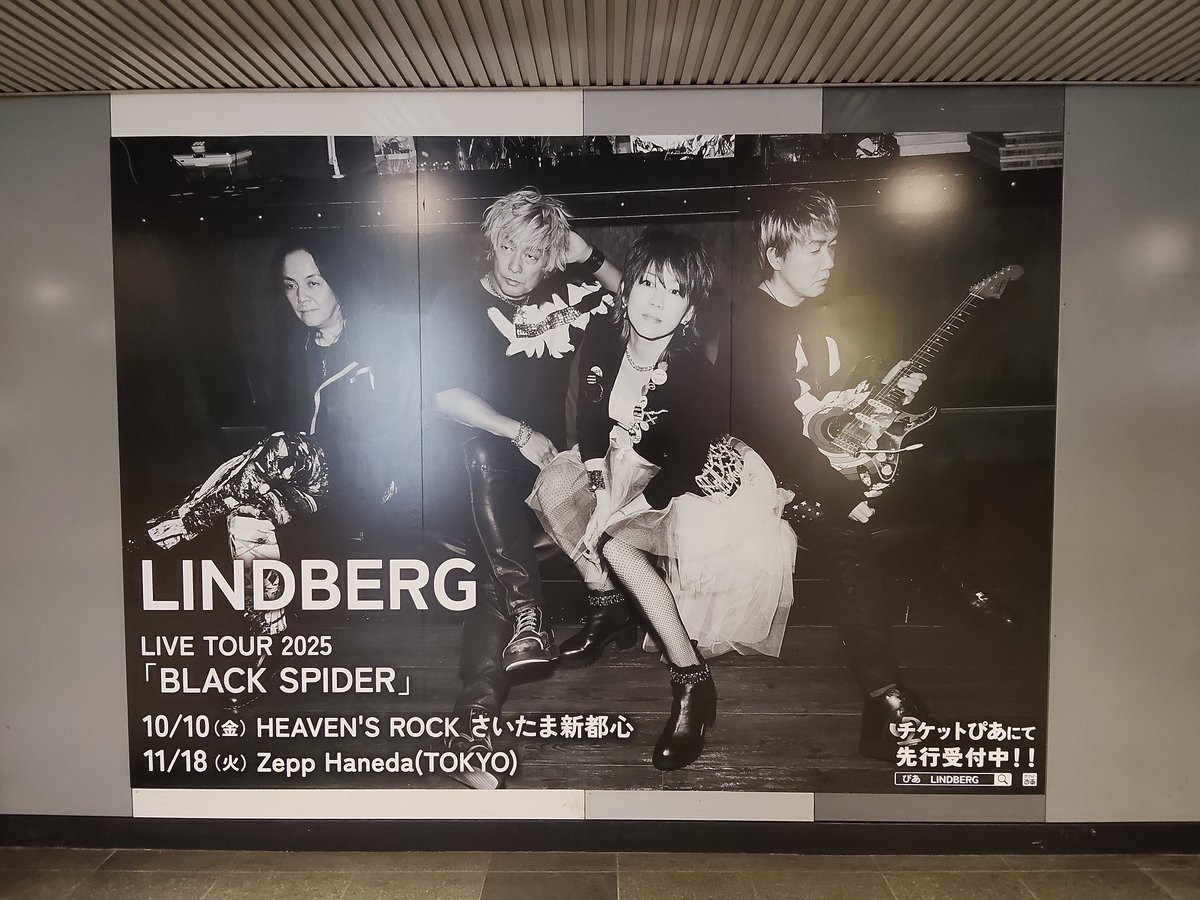 LINDBERG_info (@LINDBERGinfo) / X