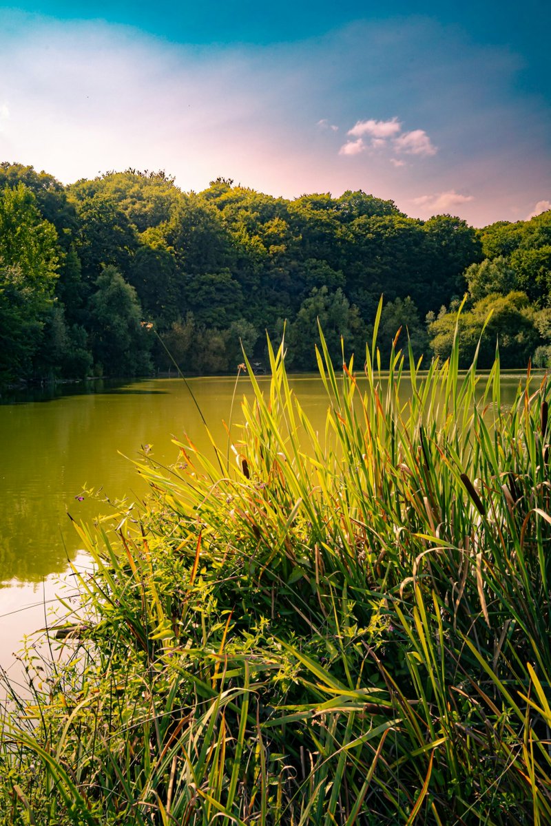 IMGWmeteo's tweet image. Charakterystyka wybranych elementów klimatu w Polsce w lipcu 2025 roku
&quot;Za nami najchłodniejszy lipiec od 2020 roku, który jednocześnie zaliczono pod względem termalnym jako miesiąc normalny.&quot;
Po szczegóły zapraszamy na artykuł! 
obserwator.imgw.pl/2025/08/13/cha…
#IMGW #obserwator #artykuł