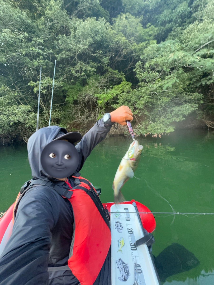 ym05080825's tweet image. 暴レル君…
ナンデモジュニアガ好キ説👹
#バス釣り
#トップ
#チョップカットJr.