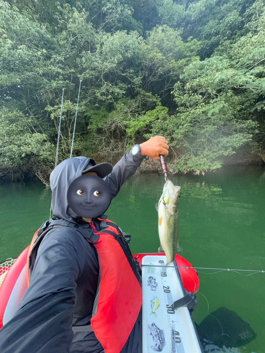 ym05080825's tweet image. 暴レル君…
ナンデモジュニアガ好キ説👹
#バス釣り
#トップ
#チョップカットJr.