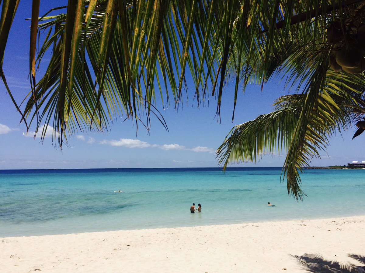 Christina Scott tweet media