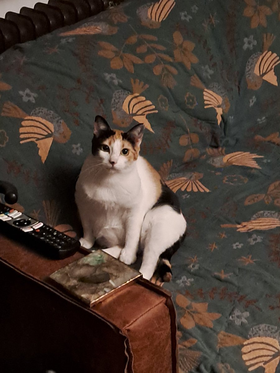 mein gott was für eine unit