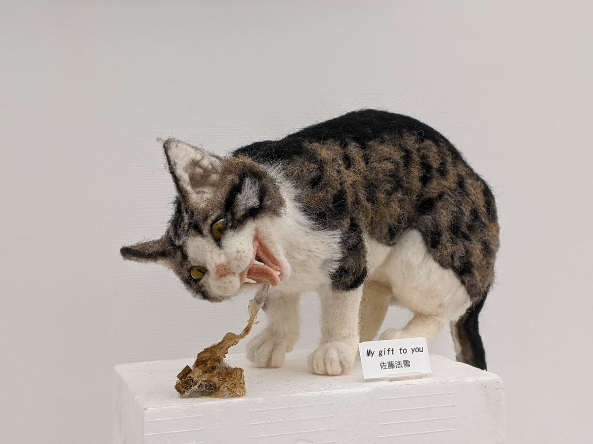 佐藤法雪needle felted cats (@freecatdoll) / X