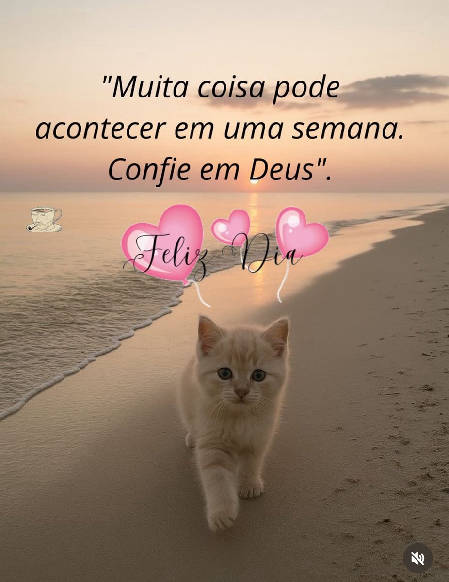 Bom dia meus amores 🥰🥰❤️❤️🌸🌸🙏🙏☕️☕️🌺🌺🌹🌹💕💕👏👏👏👏