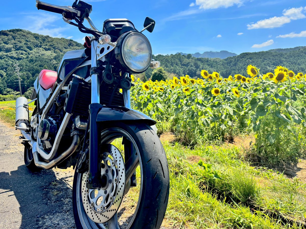 be_puchimill's tweet photo. 名前：coco*
性別：💃
年齢：割といい歳
身長：165
住み：大阪
車種：CBR400RR/VT250Z
好き：フォトツー、田舎道

2ダボちゃんはお譲りした👋
最近走るモチベ高め！！

 #バイク乗りとして軽く自己紹介  
 #バイク好きと繋がりたい 
 #バイク女子 と繋がりたい
 #ツーリング仲間募集 https://t.co/A3Lr76UxBA