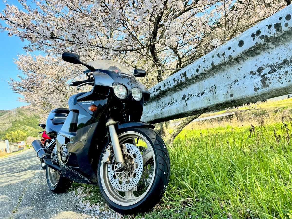 be_puchimill's tweet photo. 名前：coco*
性別：💃
年齢：割といい歳
身長：165
住み：大阪
車種：CBR400RR/VT250Z
好き：フォトツー、田舎道

2ダボちゃんはお譲りした👋
最近走るモチベ高め！！

 #バイク乗りとして軽く自己紹介  
 #バイク好きと繋がりたい 
 #バイク女子 と繋がりたい
 #ツーリング仲間募集 https://t.co/A3Lr76UxBA