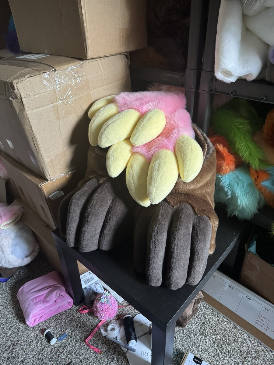 alligator fingies and toesies 🐊🌸