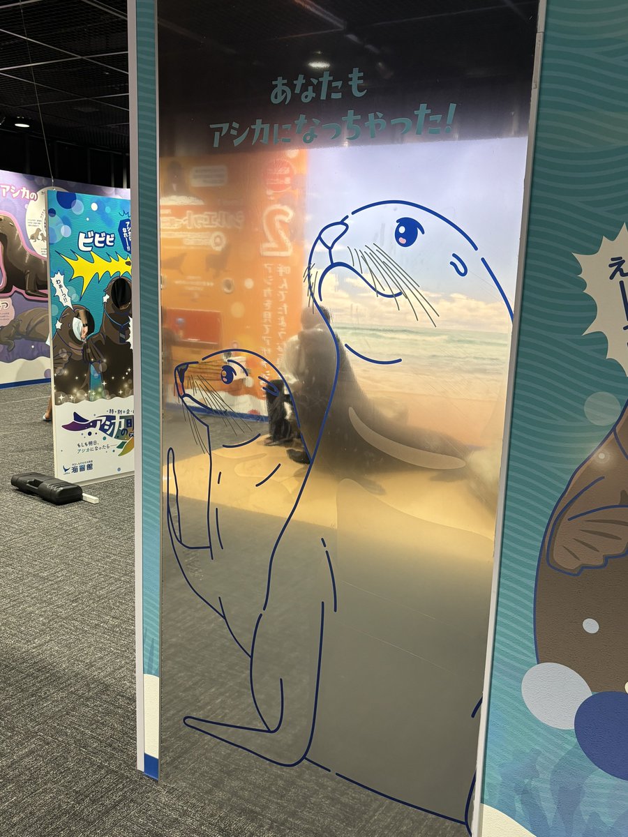 🐾大斗 tweet media