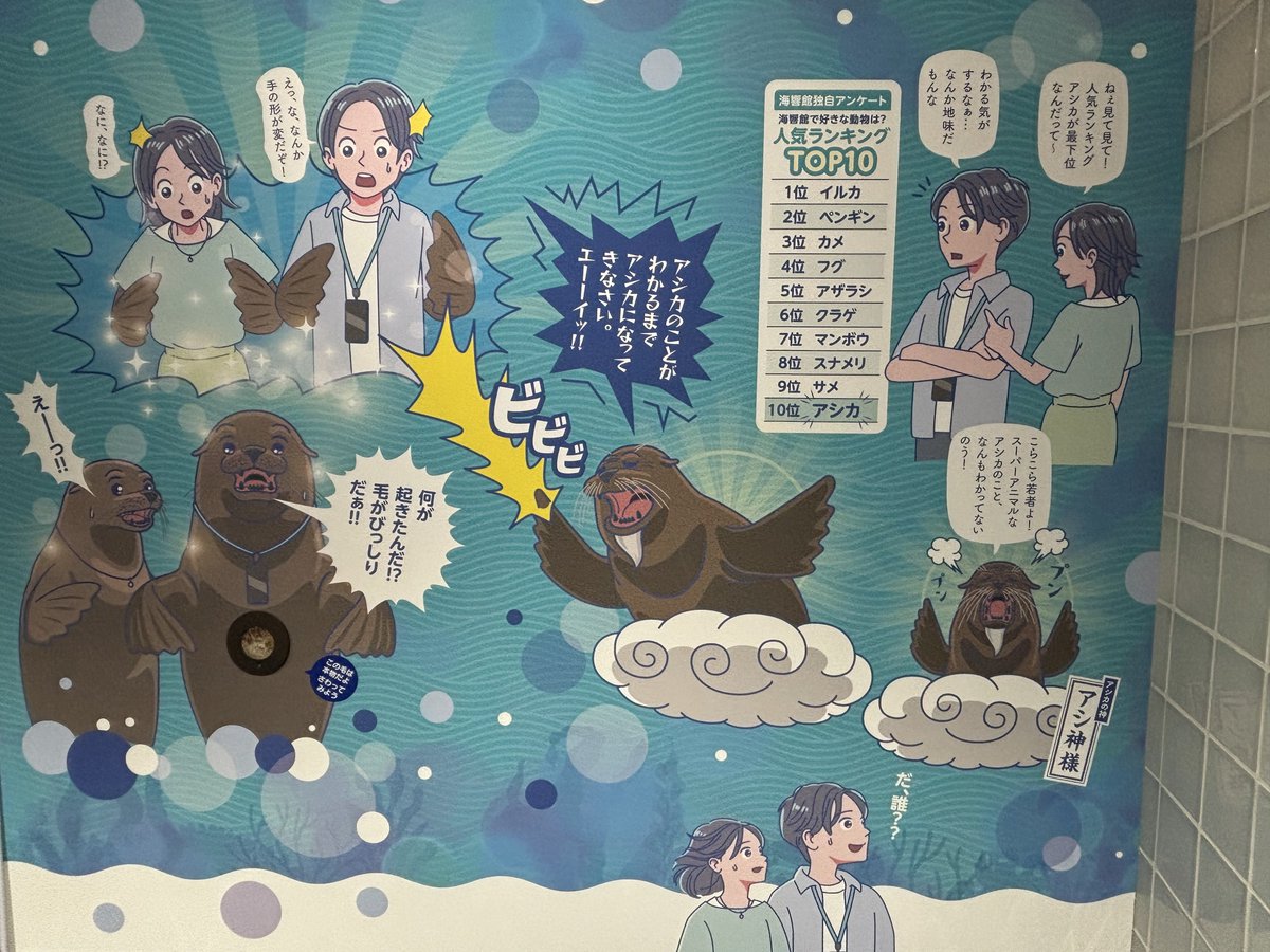 🐾大斗 tweet media