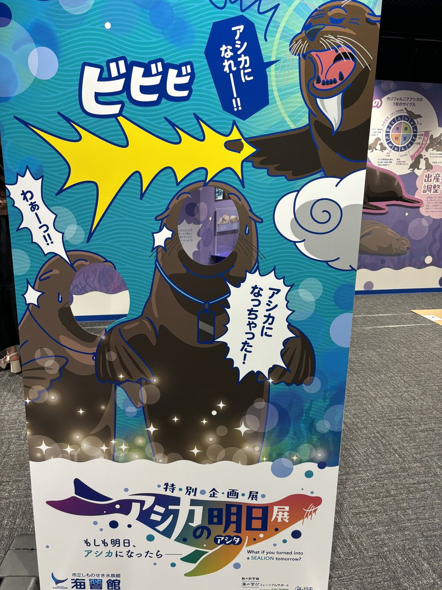 🐾大斗 tweet media