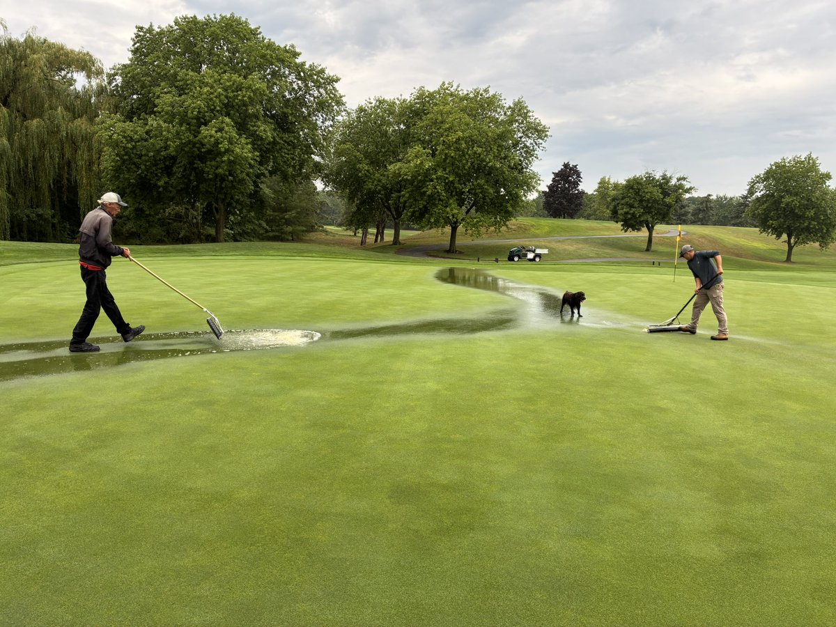 Dan Sliasas tweet media