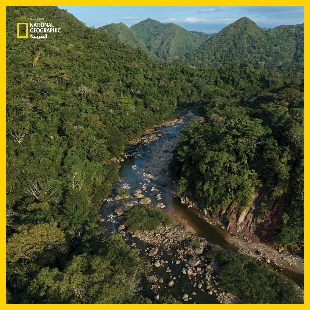 الحياة عند منابع النهر
تتدفق المياه البيضاء المضطربة عبر كثير من روافد #الأمازون، ولكن في منتزه "إيسيبورو سيكوري" في #بوليفيا تجري مياه صافية على طول سفح الجبل أسفل سلسلة جبال الأنديز. وقد شرع العلماء في دراسة هذه المناطق الطبيعية التي لم تخضع للاستكشاف إلا نادرًا

اقرأ التفاصيل