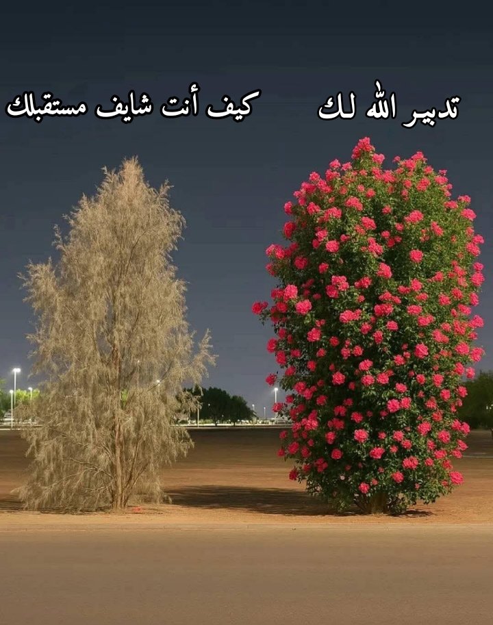 ile2ss's tweet photo. https://t.co/ZU1gocm6On