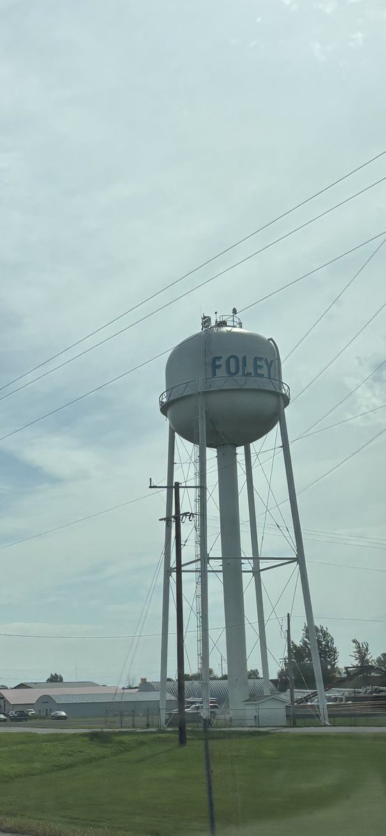 Dr. Fingerzem tweet media