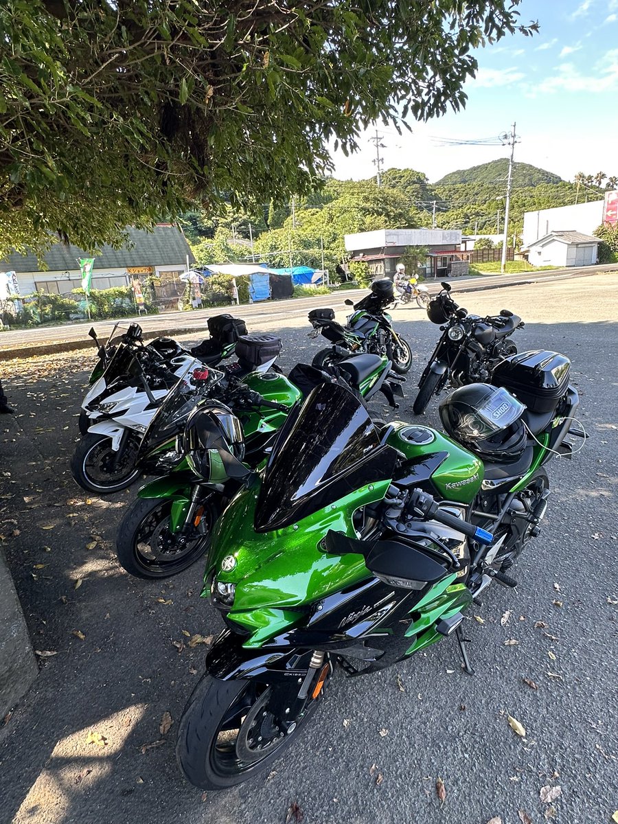 亀ちゃん tweet media