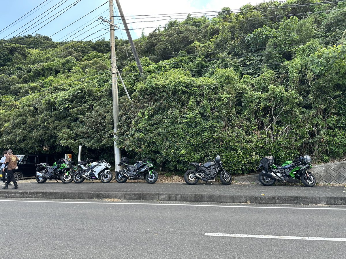 亀ちゃん tweet media