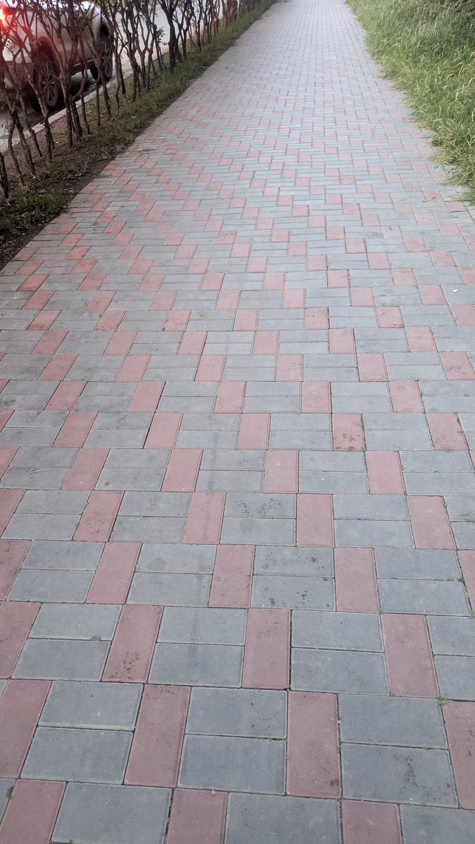 Энэ замыг л битгий сольчоосойдоо.