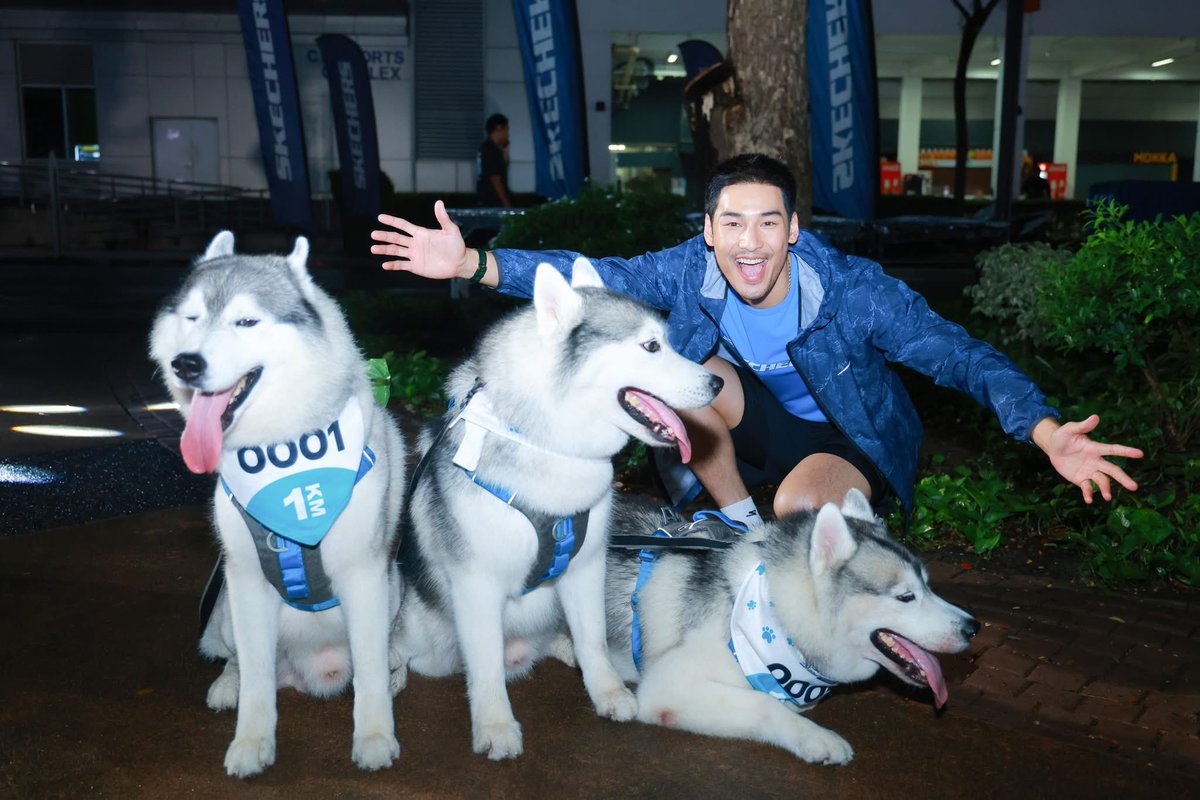 ApoNattawinofc's tweet photo. Pet Zone สุดคึกคัก มีแต่ความน่ารักเต็มไปหมด 🥹 

แน่นอนว่าเจ้าแมวได้มาเจอพวก ความง่วงมีให้เห็นซะที่หนาย 😍

WALK WITH SKECHERS APO

@Nnattawin1 
#ApoNattawin #FriendshipWalk2025xAPO
#SkechersFriendshipWalk2025 #WalkWithPets 

🙏🏻📷 FB : เราใส่สเก็ตเชอร์ส https://t.co/dWaQXSe7x0