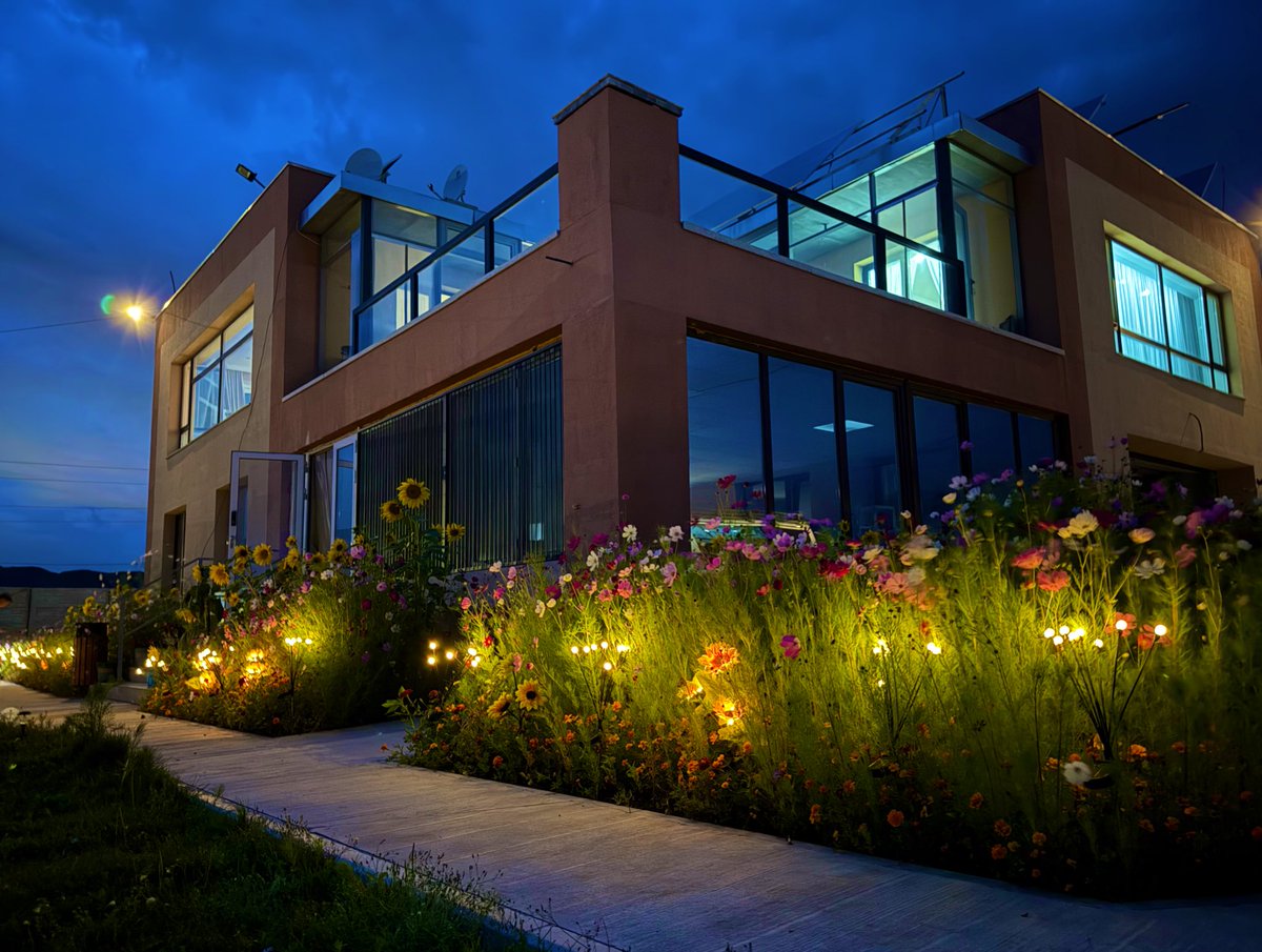 Цэцэгс гоё ургасан байна. 
Сайхан амраарай ☺️