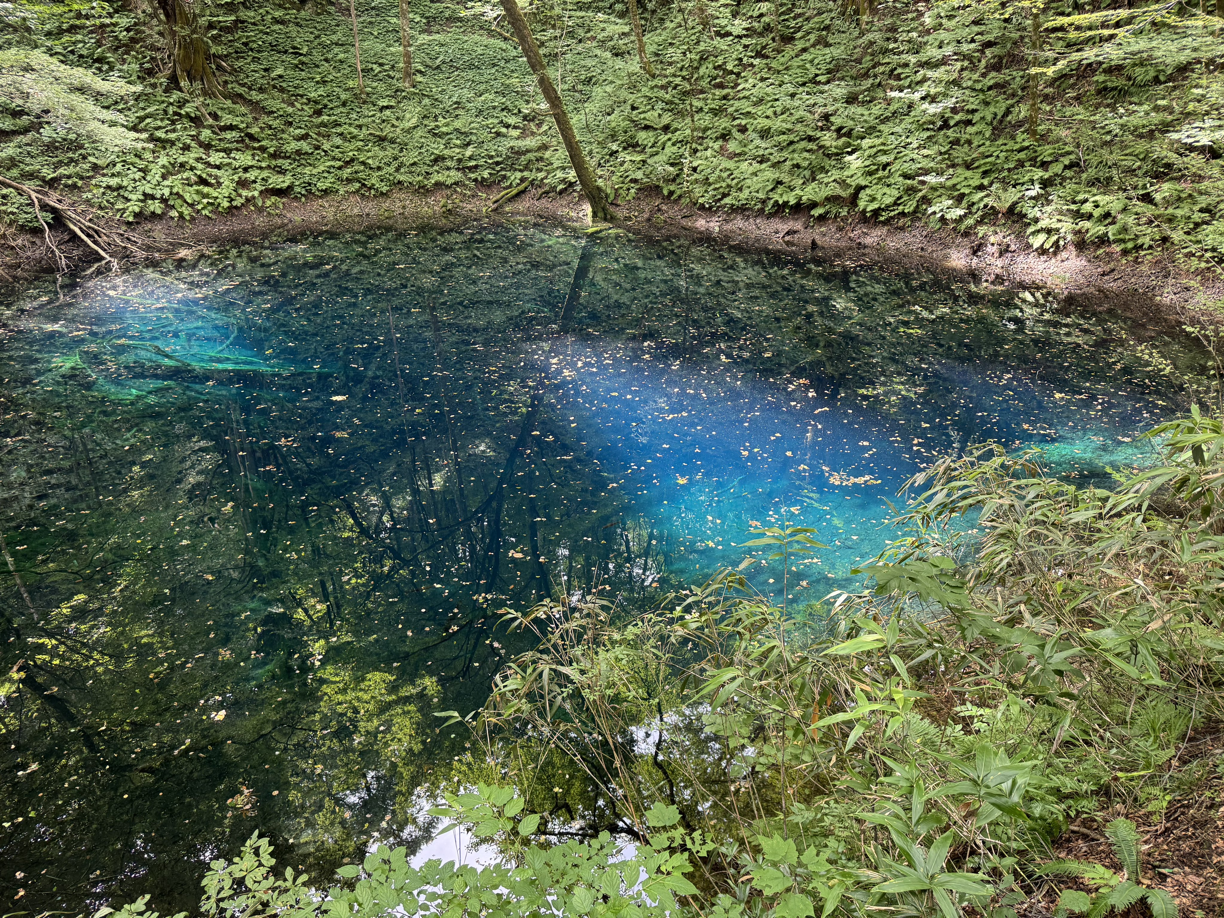 de~ci~de 吊鐘の余弊 ZUTOMAYO – Hanaichi Monnme (Music Video) - YouTube