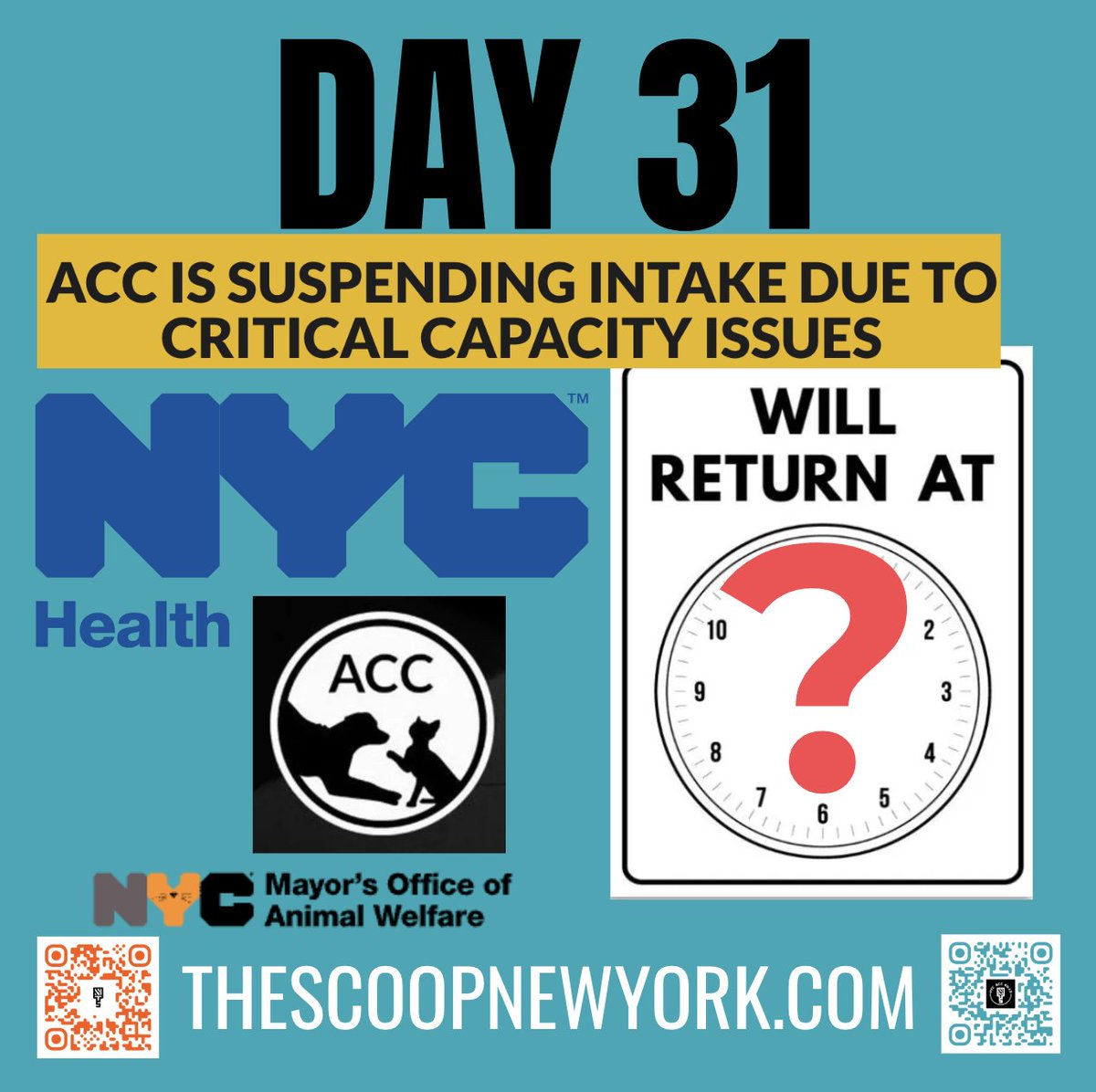 The Scoop New York • Subscribe Today! (@thescoopnewyork) on Twitter photo GM <a href="/NYCACC/">Animal Care Centers of NYC</a> <a href="/NYCHealthCommr/">Dr. Michelle Morse</a> @nychealthy.
Are you aware, FOTA <a href="/Lynn4NYC/">Lynn Schulman 舒曼琳</a> <a href="/galeabrewer/">Gale A. Brewer</a> <a href="/CMBobHoldenNYC/">Council Member Robert F. Holden</a> <a href="/JustinBrannan/">Justin Brannan</a> <a href="/JoannAriola32/">Joann Ariola NYC Council District 32</a>, that ACC will offer an animal to adopters, then kill the animal before they can pick up their new pet?
Receipts: thescoopnewyork.com/p/nyc-doh-acc-… GM <a href="/NYCACC/">Animal Care Centers of NYC</a> <a href="/NYCHealthCommr/">Dr. Michelle Morse</a> @nychealthy.
Are you aware, FOTA <a href="/Lynn4NYC/">Lynn Schulman 舒曼琳</a> <a href="/galeabrewer/">Gale A. Brewer</a> <a href="/CMBobHoldenNYC/">Council Member Robert F. Holden</a> <a href="/JustinBrannan/">Justin Brannan</a> <a href="/JoannAriola32/">Joann Ariola NYC Council District 32</a>, that ACC will offer an animal to adopters, then kill the animal before they can pick up their new pet?
Receipts: thescoopnewyork.com/p/nyc-doh-acc-…
