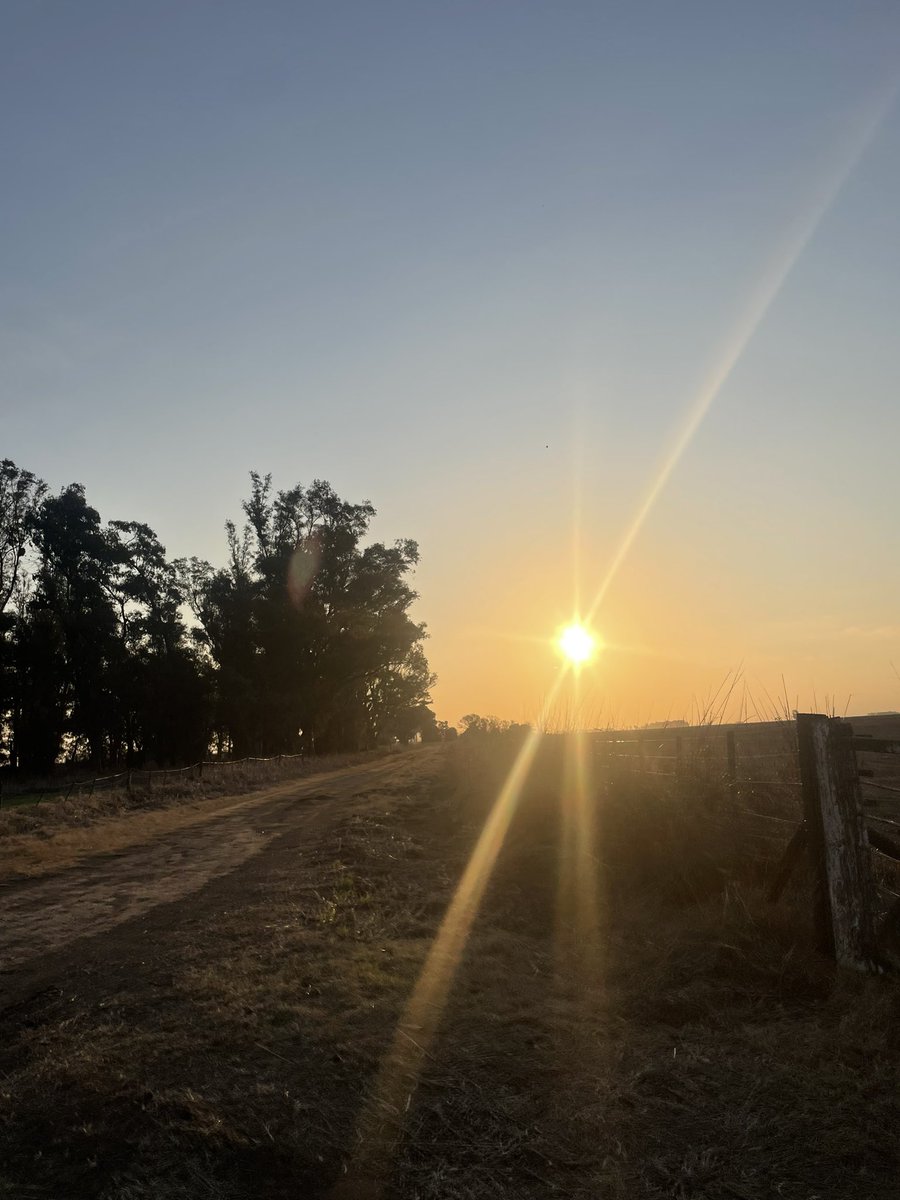 Pobrecito mi patrón,
piensa que el pobre soy YO…