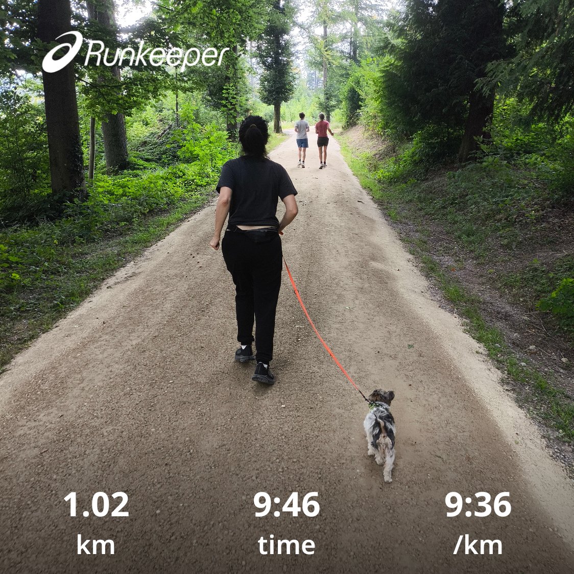 zureich37's tweet photo. Long Run Sunday 🏃‍➡️✅.
exploring new paths in the hilly forest.
... and did a beautiful warm-up with my wife ❤️ ... and the dog 🐕.
#running #runchat #longrun #training  #forestrun #Happiness https://t.co/hZ9HnZK6qb