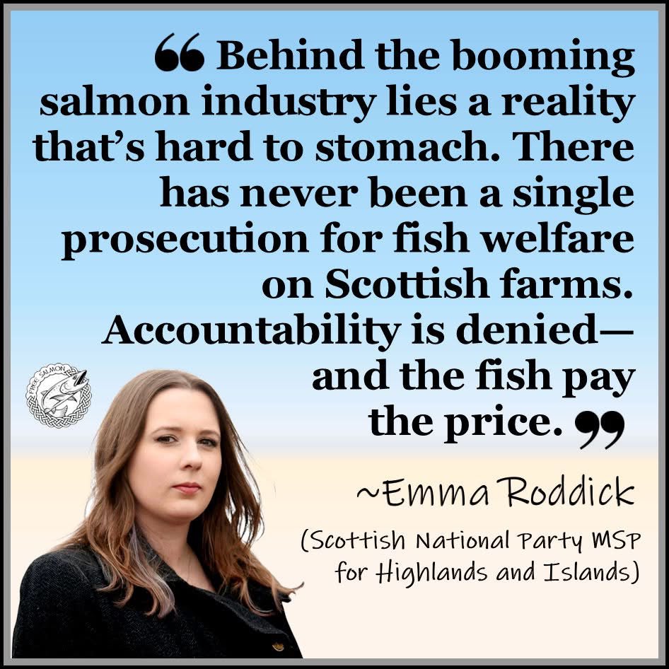 Free Salmon (@salmon_free) on Twitter photo 