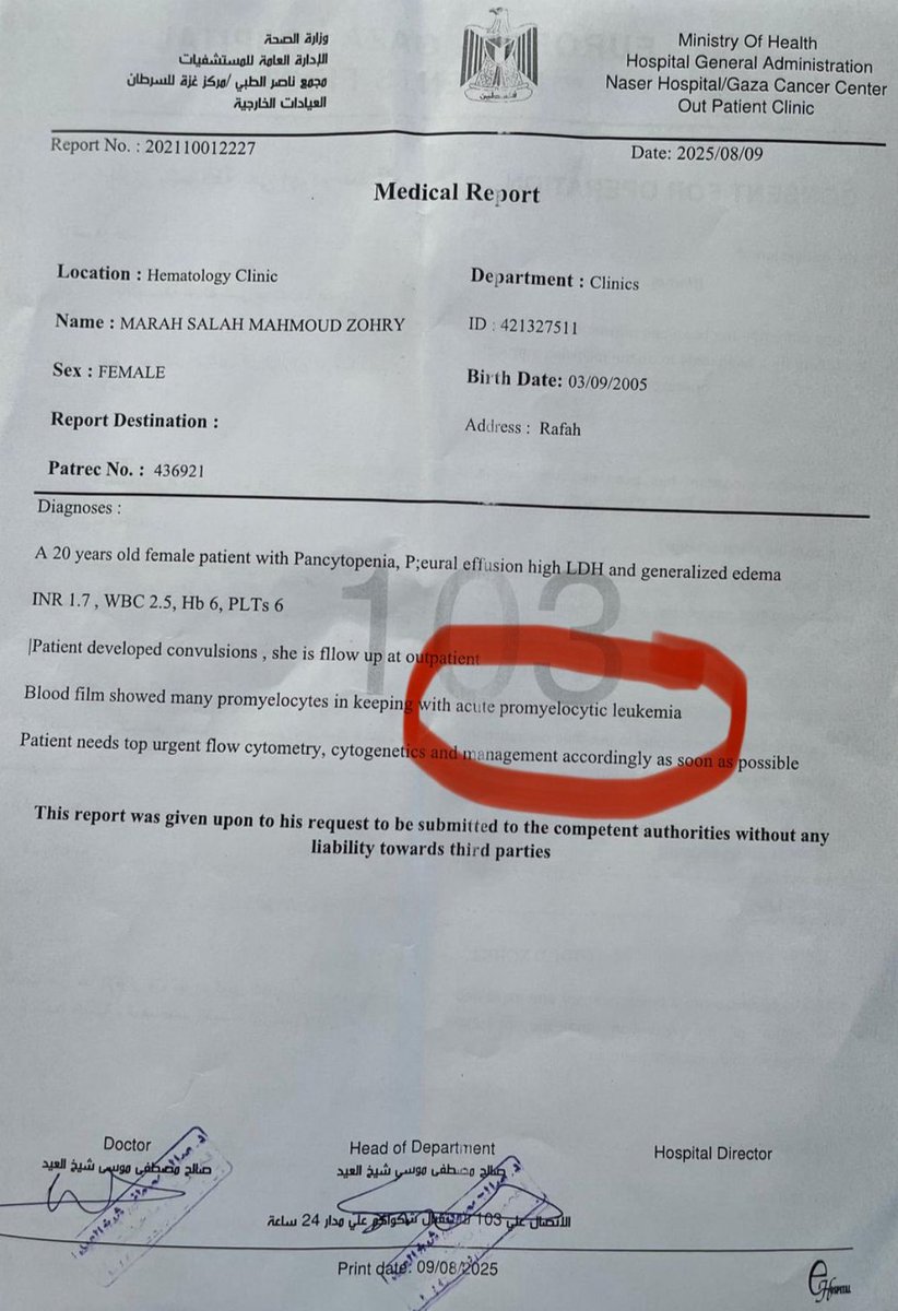 Michael Freilich (@michaelfreilich) on Twitter photo Gazaanse vrouw die in Italië overleed, leed aan kanker – maar dat cruciale detail wordt door de massamedia verzwegen. Zo stappen ze recht in de propagandaval van Hamas. Spijtig. Gazaanse vrouw die in Italië overleed, leed aan kanker – maar dat cruciale detail wordt door de massamedia verzwegen. Zo stappen ze recht in de propagandaval van Hamas. Spijtig.