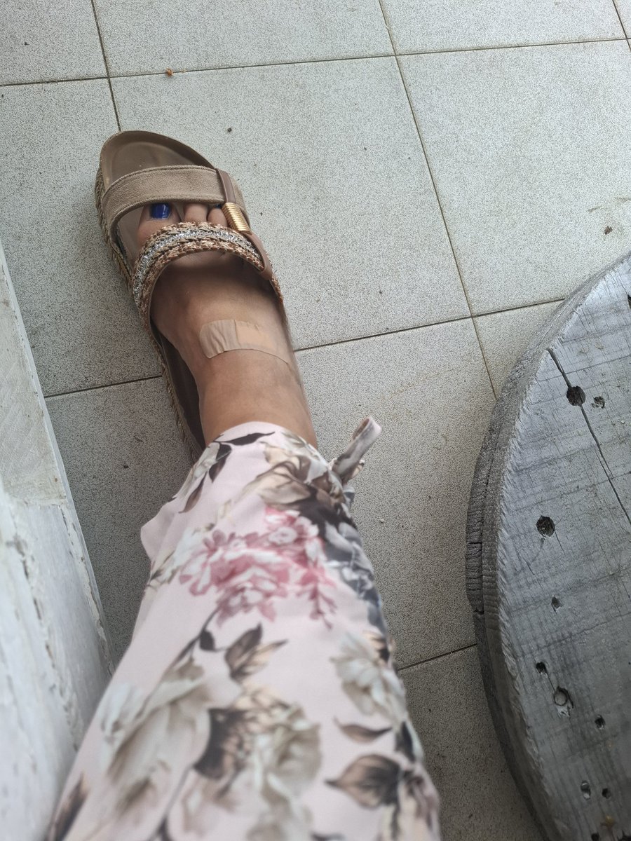 Mistrxsscarol's tweet photo. 🐶Que un puto perro te lama las heridas,  hace que cicatricen antes👅,  así que ya sabes...🔥🧎🐕
#findom #feetfetısh #paypig #human_ATM https://t.co/0weZMGUyTl