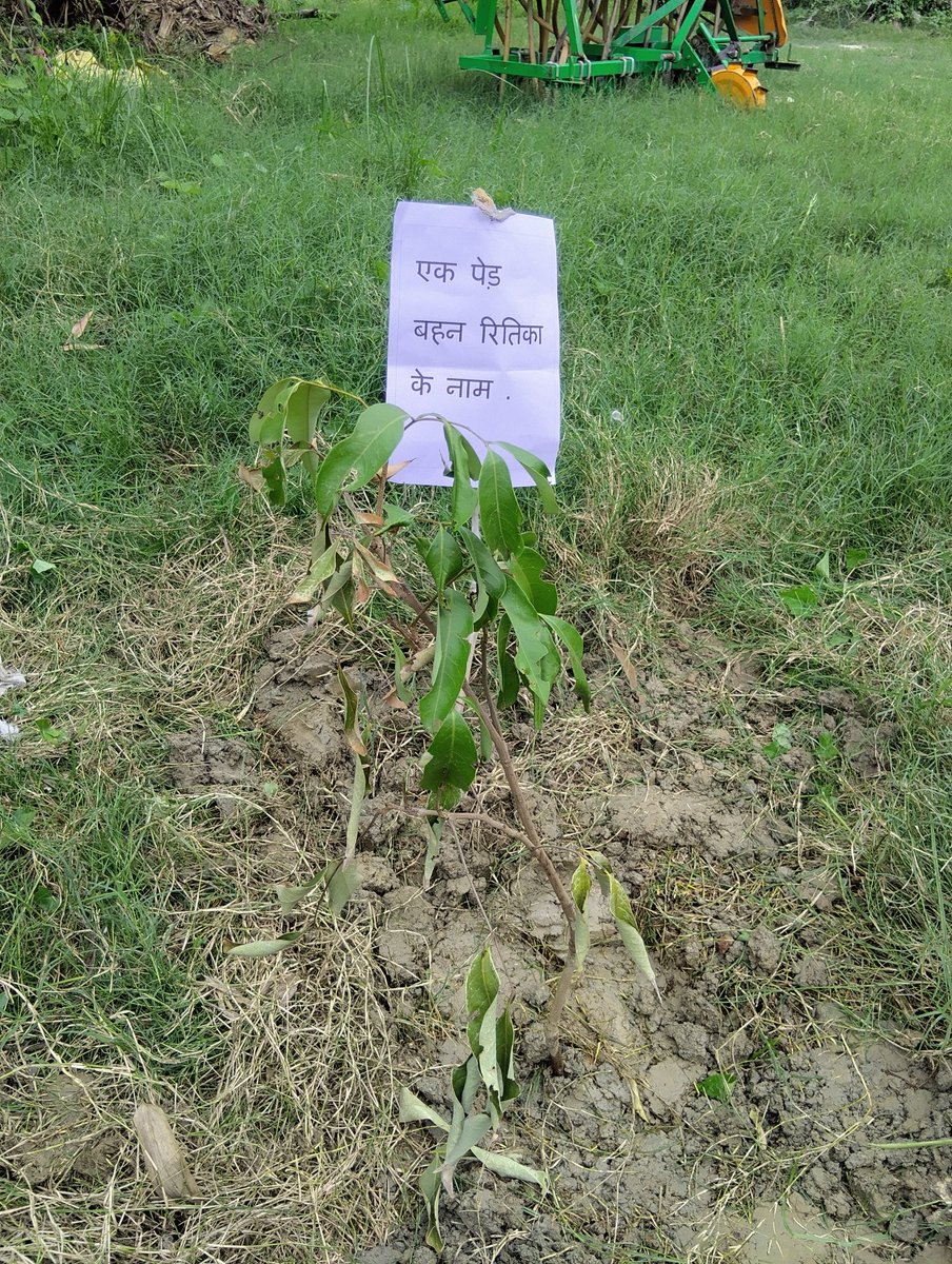 यह पौधा अपनी छोटी बहन स्मृति  रितिका के नाम पर लगाया हूं श्री<a href="/kumaranil_ASP/">Anil Kumar</a> भैया,<a href="/drIRAJRAJA/">Dr. Iraj Raja</a> <a href="/ipsanukriti14/">Anukriti Sharma 🇮🇳</a> <a href="/aapka_vineet/">Vineet G 🇮🇳</a> <a href="/gyanu999/">Gyanendra Shukla</a> <a href="/rakeshs_ips/">Dr. Rakesh Singh, IPS</a> <a href="/Dkumarchandel/">Dharmendra Kumar</a> <a href="/IPSAnkitaS/">Ankita Sharma</a> <a href="/AnilPaliwalips/">Anil Paliwal IPS</a> <a href="/vineetJindal19/">Adv.Vineet Jindal</a>