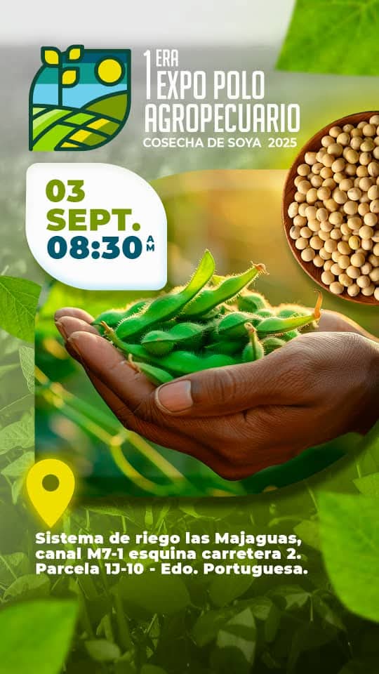 1ra EXPO POLO AGROPECUARIO. COSECHA DE SOYA 2025

Fecha: miércoles #03Sep  - 8:30 am. 

Lugar: Sistema de Riego Las Majaguas. Canal M7 – 1, esquina carretera 2. Parcela 13 – 10. Estado Portuguesa. 

Invita: Polo Agropecuario <a href="/poloenred/">poloagropecuario</a>

#CampoCafeCiudad #EventosDelAgro #Soya