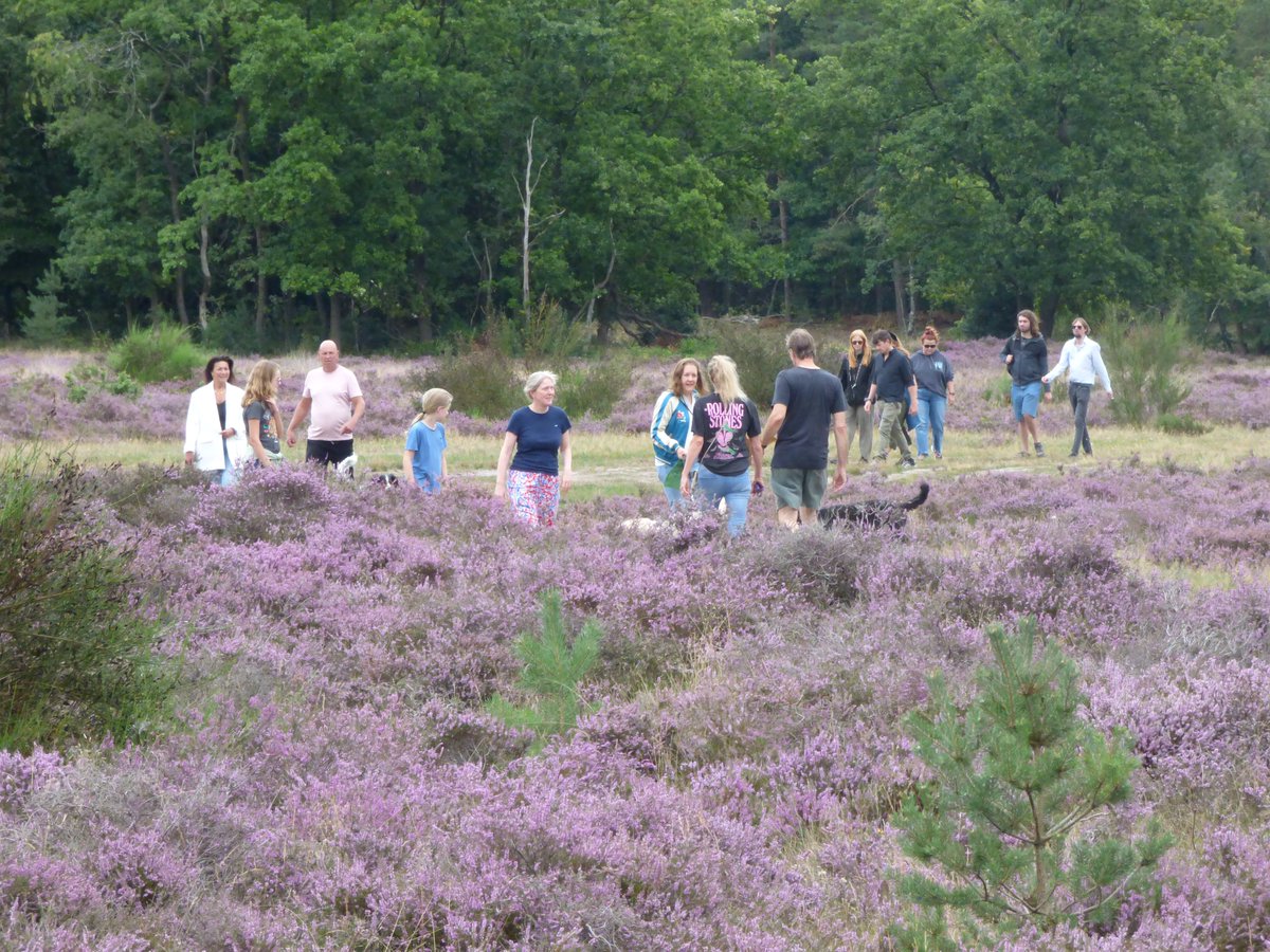 Grijs en soms licht gespetter. Maar het is genieten voor mens en dier! Op de hei in @Hilversum vanmiddag.

<a href="/marjondehond/">Marjon de Hond</a> <a href="/WilliamHuizinga/">William Huizinga</a> <a href="/weeronline/">Weeronline</a>
<a href="/weermanrobert/">➡️ Robert de Vries</a> <a href="/onwukaa/">Amara Onwuka</a> <a href="/weerverteller/">Weerverteller.nl</a>
<a href="/pictureofNL/">Mooi Nederland 🇳🇱</a> <a href="/BuienRadarNL/">Buienradar</a> <a href="/helgavanleur/">Helga van Leur ☀</a>
<a href="/Oogophilversum/">Oog Op Hilversum</a> <a href="/HartvNL/">Hart van Nederland</a> <a href="/janvissersweer/">JAN VISSER</a> <a href="/EdAldus/">Ed Aldus</a>