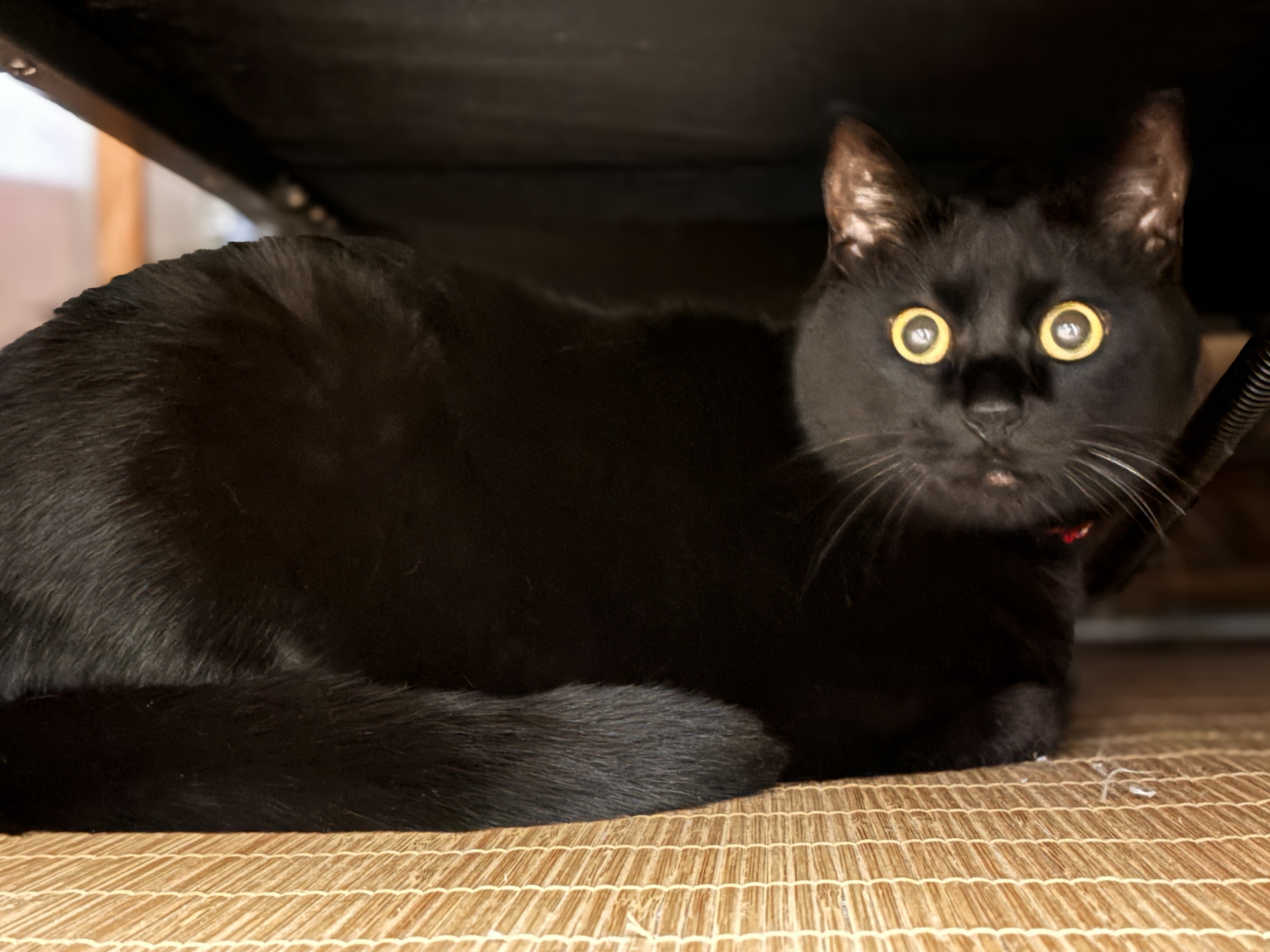 あおばた｜aobata at sendai on X: 