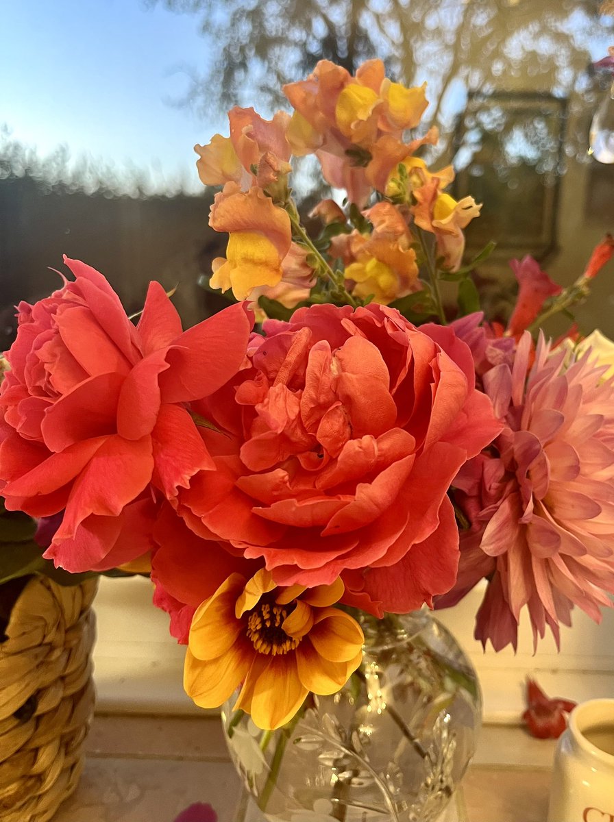 Sunday garden pickings !!   A little deadheading has given me  a bright  vase for the kitchen 💐