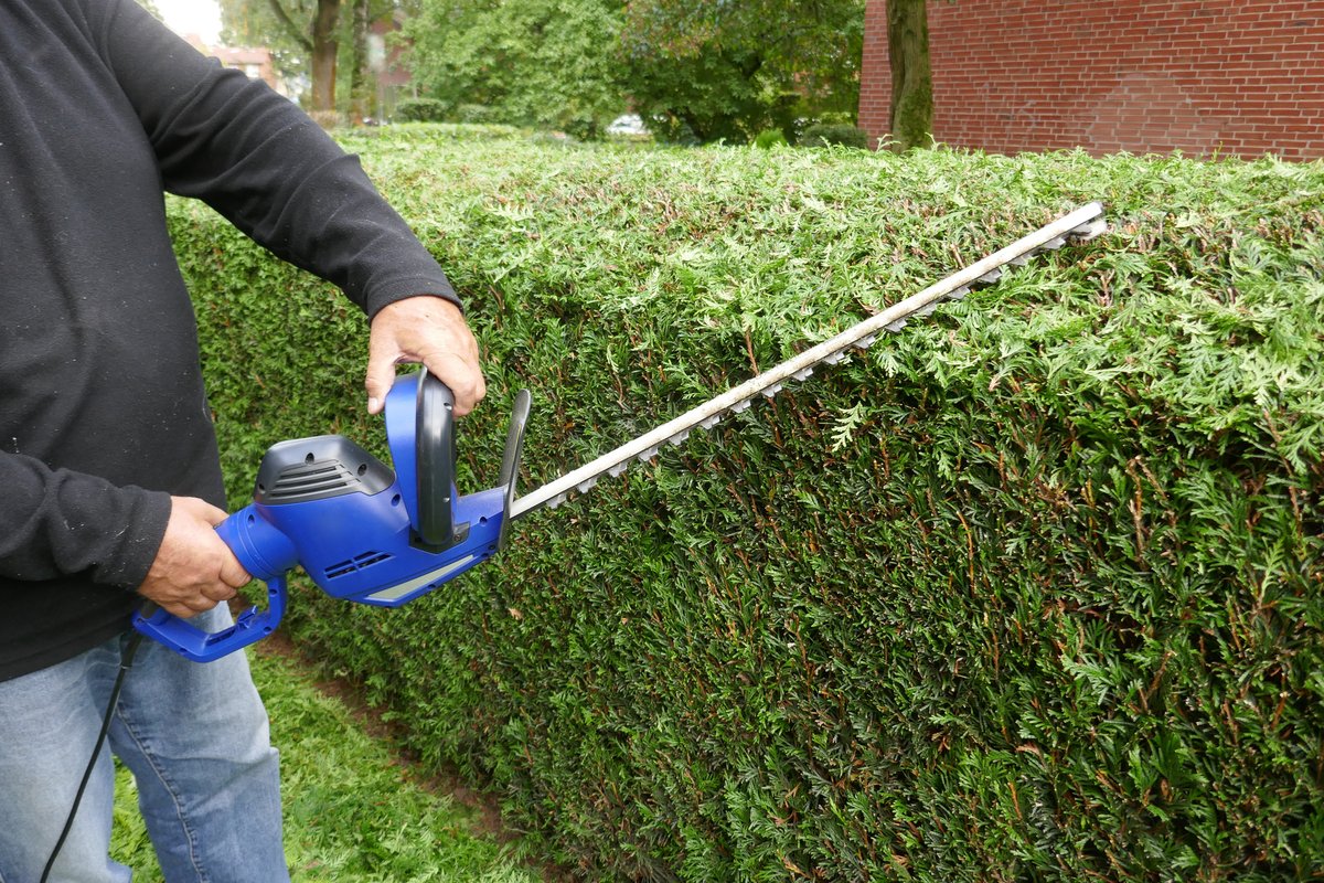 Mosquitoes are known to rest in dense shrubbery. You can prevent mosquito bites and West Nile virus by regularly trimming bushes and shrubs to keep them clear of overgrowth and debris. For more information: eohu.ca/WNV