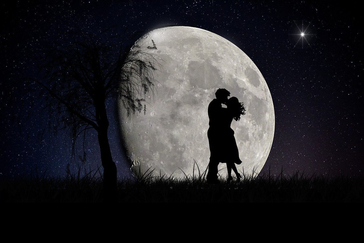KarinaBrae's tweet photo. For #Halloween why not catch up with #TheShadowCoven as they celebrate #Samhain? Read it free on my blog or download it at @Smashwords
https://t.co/xNG2B7xL7F
#FreeRead #ShortStory #Writer #RomanceStory #RomanceWriter #RomanceAuthor #IndiWriter #IndieAuthor #Blogger #Blogging https://t.co/31c7tbT77j