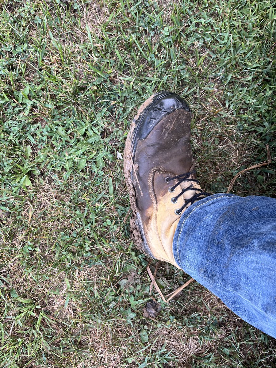 First time all year I’ve seen this foreign substance sticking to my boots.  Highly variable rain again but very happy to get it.  1/2”-1.25” looks like it catches this neighbourhood.
