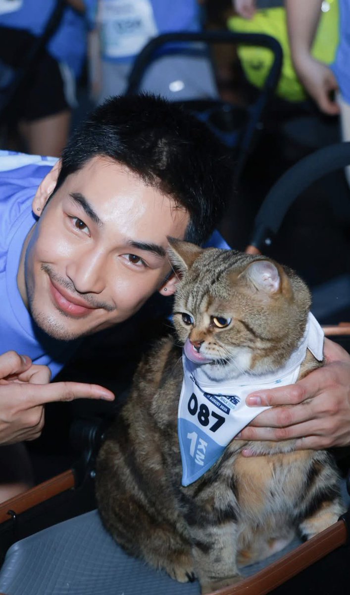 ta_wen39876's tweet photo. Two cats
#FriendshipWalk2025xAPO
#SkechersFriendshipWalk2025 #ApoNattawin  #ta_wen39876 https://t.co/TE5fQSR0Tu