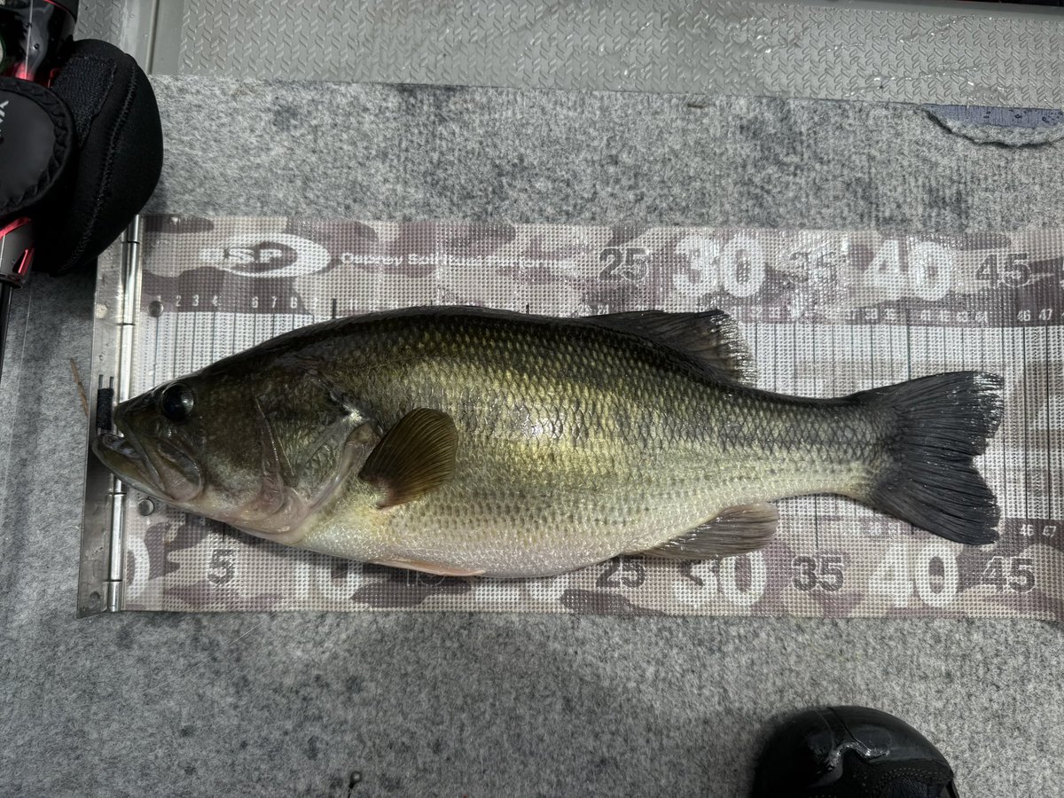 お盆休みの豊英合宿楽しかった😁
来年もガンガン行こう🐟