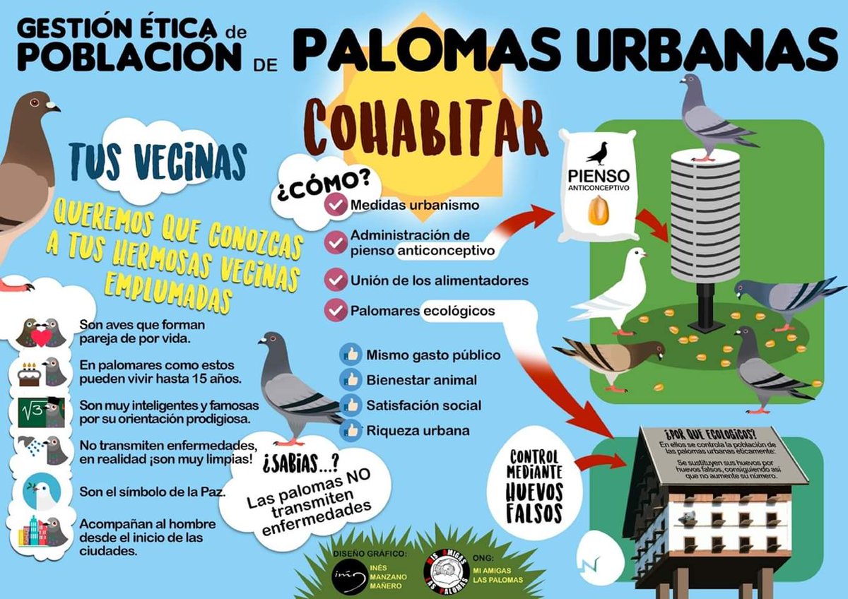 nosoyplaga's tweet photo. Se pueden hacer las cosas bien Y SE DEBE. ¡POR LEY!
@PPCiudadReal1 @pacocanizares @AYTO_CIUDADREAL @wikiCR
No más tiro de pichón con las palomas de Ciudas Real https://t.co/hg3nttnElM