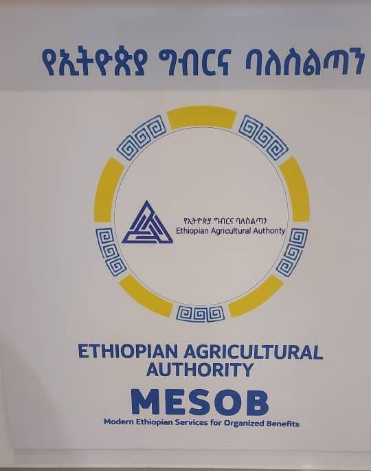 DrAbayneh's tweet photo. Digital tools help control government waste, reduce bureaucracy, and promote transparency and accountability. The Ethiopian Agricultural Authority, which regulates the import and export of agricultural products and has #digitized 66 core services to enhance operational efficiency https://t.co/bNuu0BiQsY