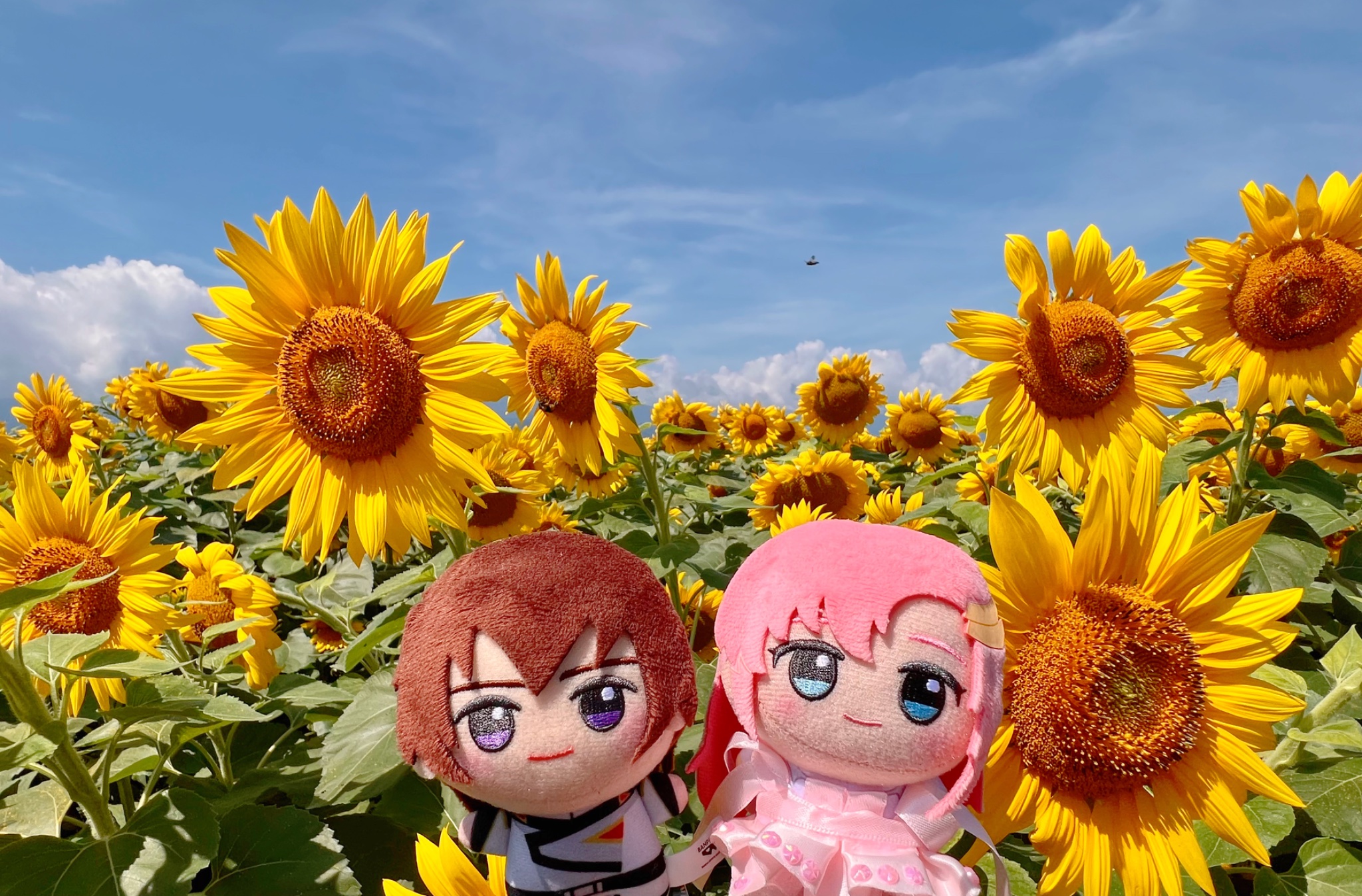 shirayuki様♡ありがとうございます♡ ?media_id=3535076863519983716