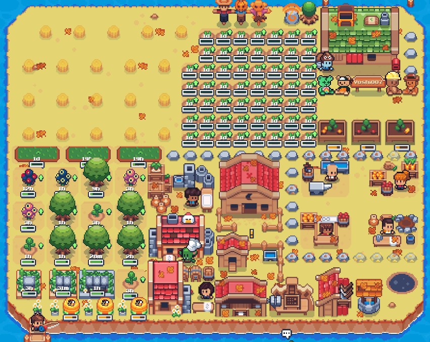 #SunflowerLandFarm